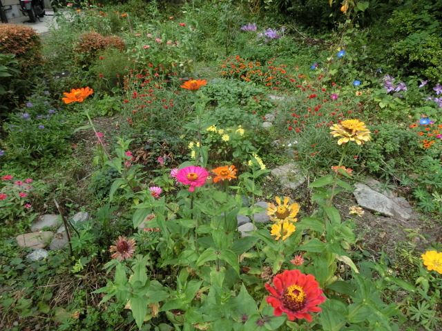 e0234924_10154945.jpg