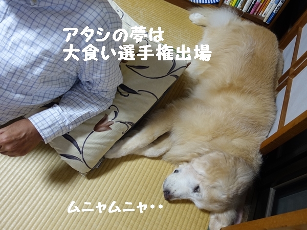 b0119525_13093835.jpg
