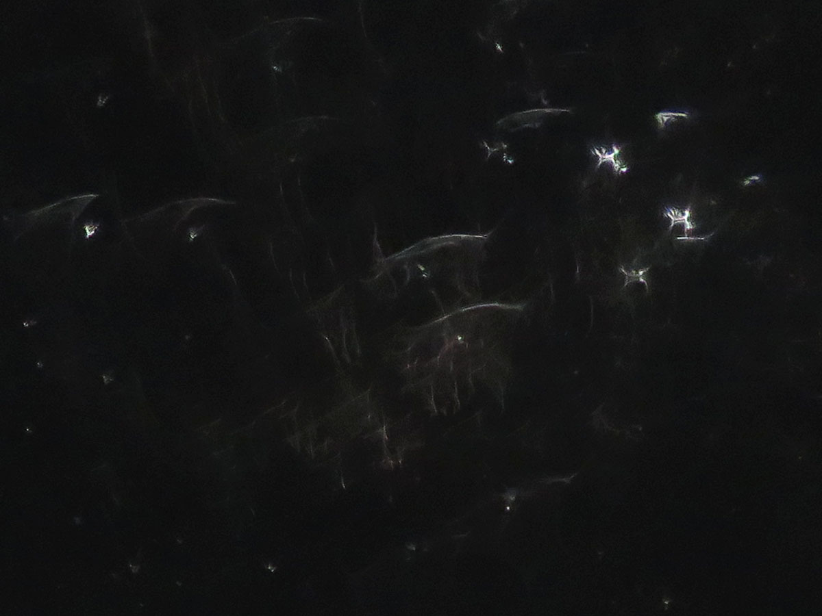 c0331825_13102510.jpg