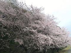 d0161928_23573936.jpeg