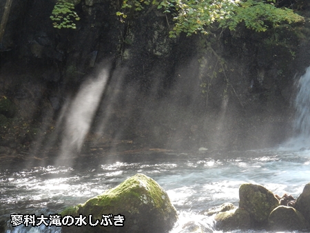e0033229_19231160.jpg