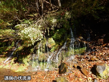 e0033229_19244612.jpg
