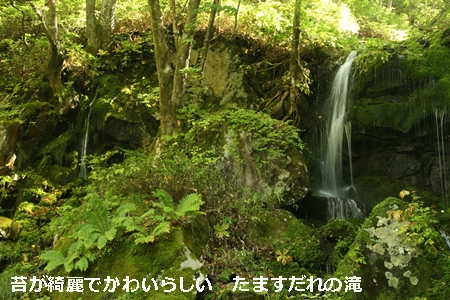 e0033229_1935415.jpg