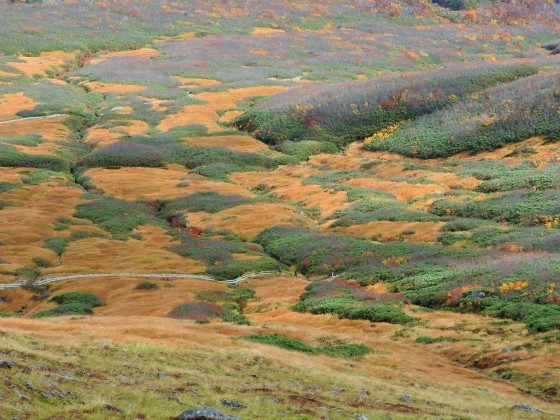 f0118332_22434682.jpg