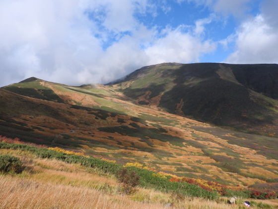 f0118332_22444299.jpg