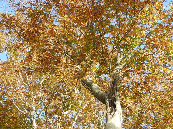 f0118332_22454541.jpg