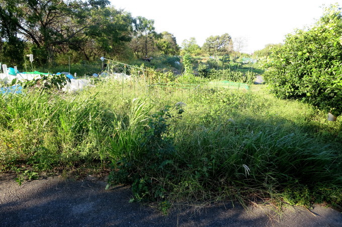 b0314633_17335955.jpg