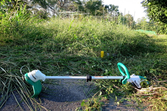 b0314633_17385295.jpg