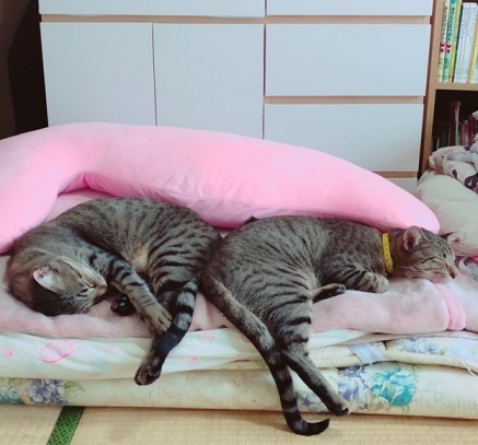 c0367433_00415131.jpeg