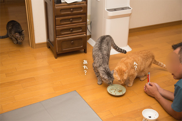 ぼくもほしい_d0355333_13410243.jpg