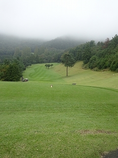 c0147935_20390952.jpg