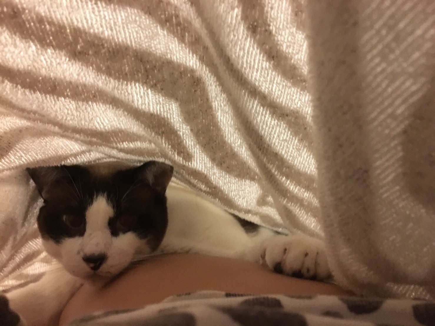 c0342535_22585730.jpeg