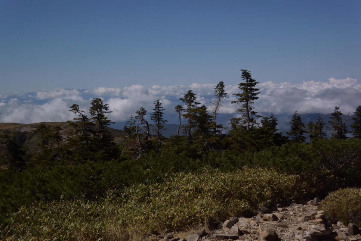 b0096536_22210644.jpg