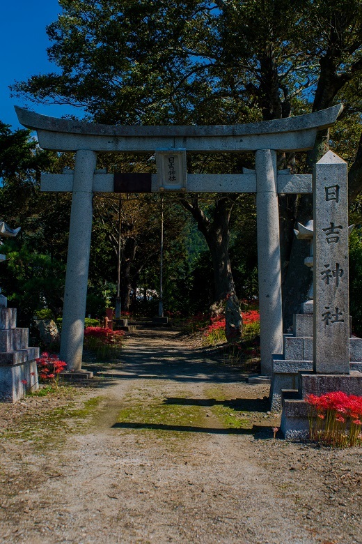 日吉神社（湖北町）～彼岸花_e0363038_23532164.jpg