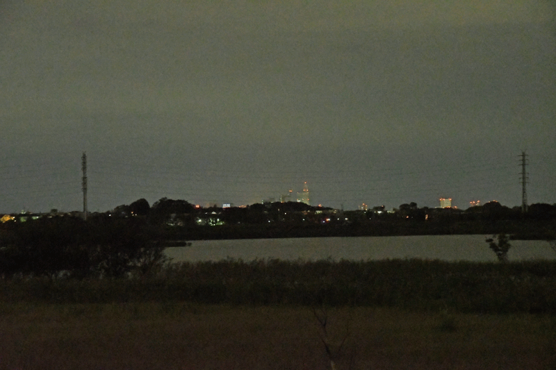 d0290240_11315037.gif
