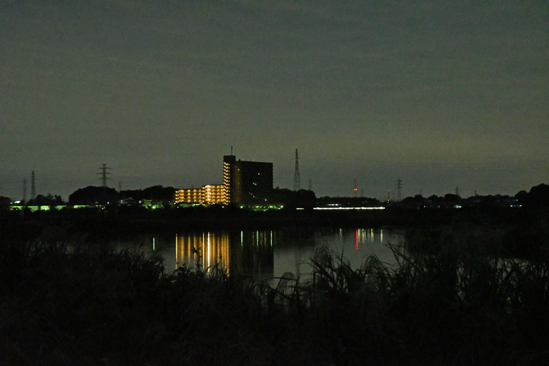d0290240_11320194.gif
