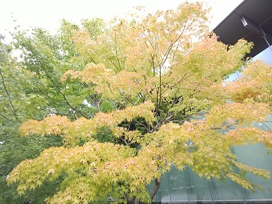 e0319042_23401440.jpg