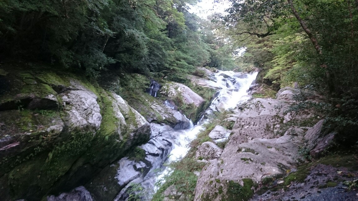 a0002447_16093573.jpg