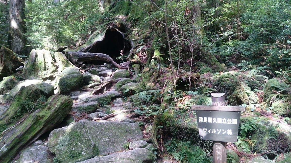 a0002447_16261667.jpg