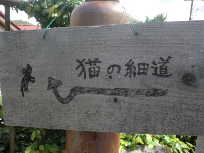 f0377348_22051358.jpg