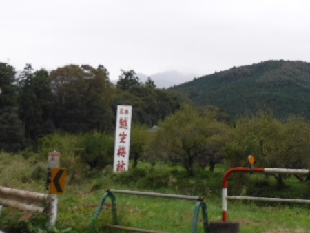 e0172950_2045855.jpg