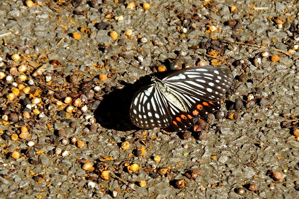 b0236251_09131380.jpg