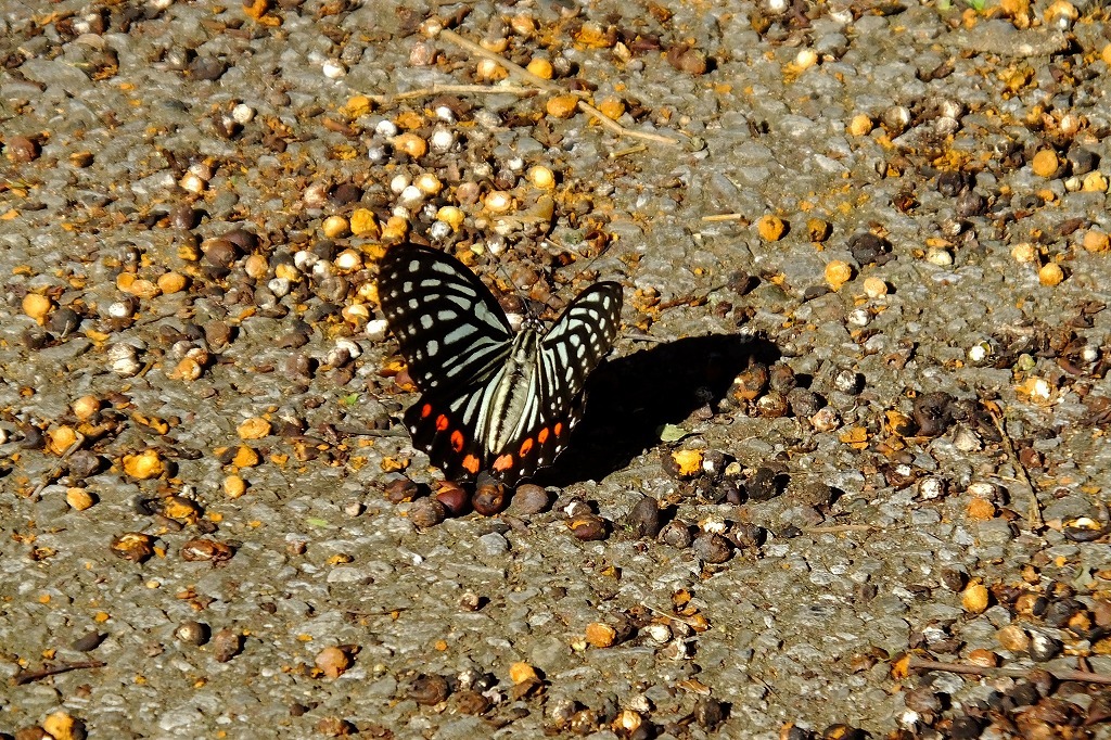 b0236251_09131625.jpg