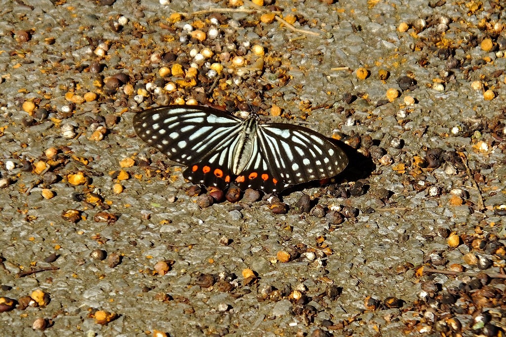 b0236251_09131915.jpg