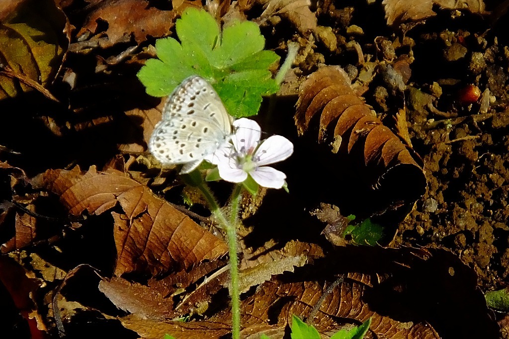 b0236251_09153258.jpg