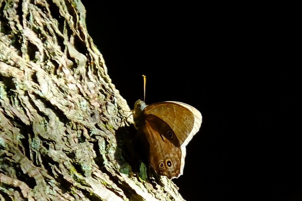 b0236251_09174536.jpg
