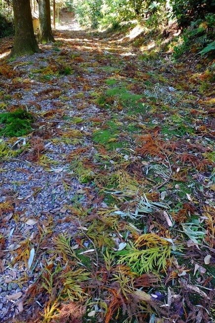 b0236251_09203400.jpg