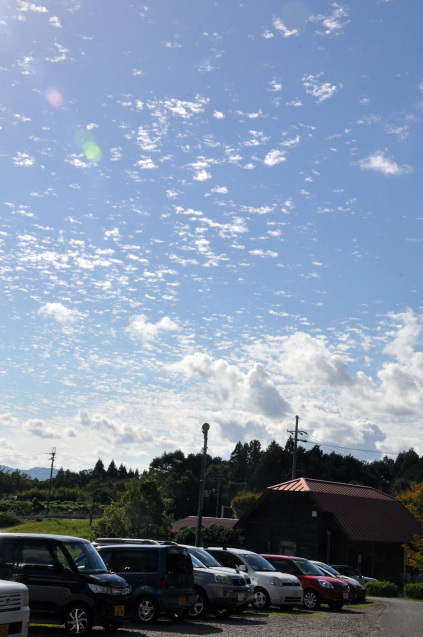 b0214652_16424866.jpg