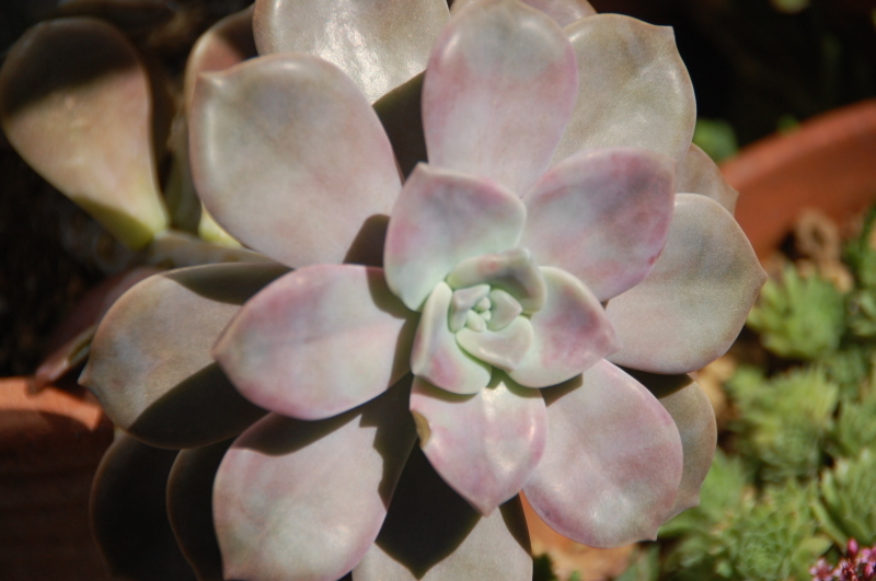 c0108460_16443640.jpg