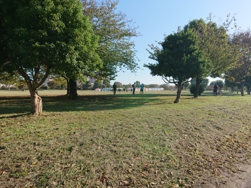 c0100865_08231575.jpg