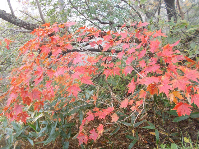 c0219866_09135535.jpg