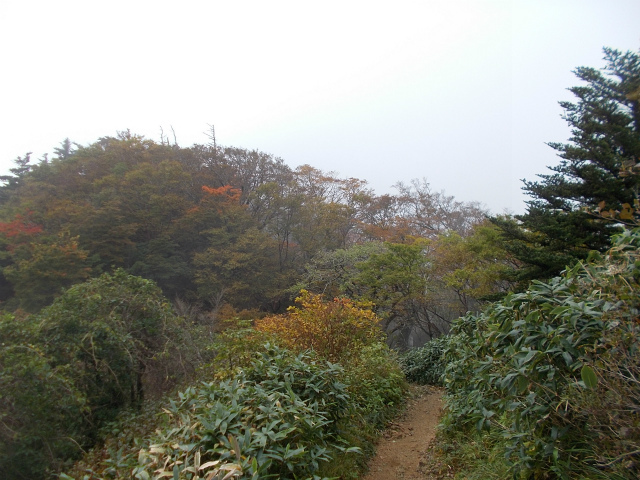 c0219866_09142782.jpg