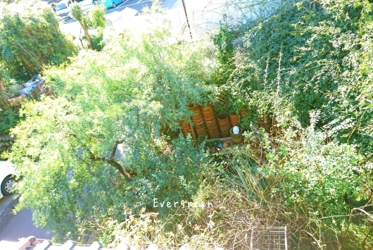 d0362666_16582250.jpg