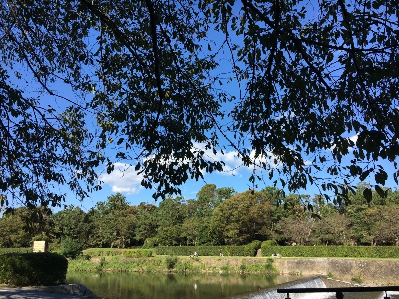 f0363168_19090359.jpeg