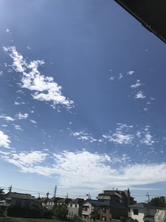 e0169073_13490561.jpeg