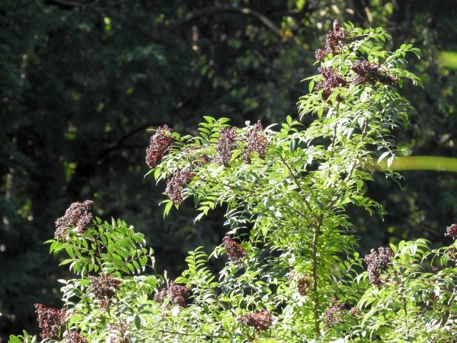 f0378979_14080200.jpg