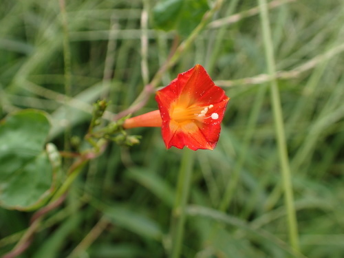 f0348480_17225214.jpg