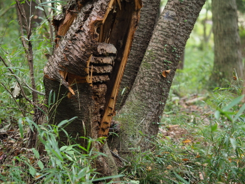 f0348480_17245849.jpg