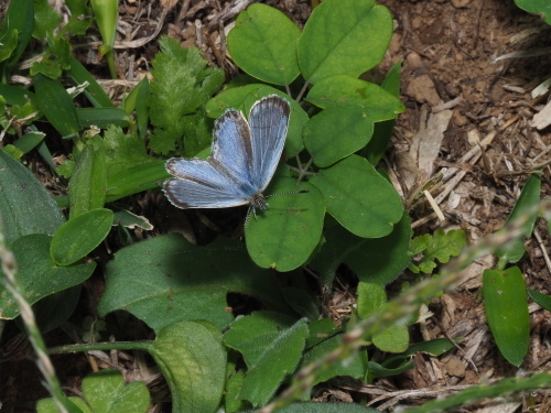 f0348480_17391733.jpg