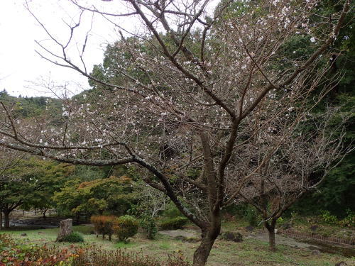 f0348480_17483646.jpg