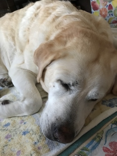 f0315081_20442715.jpeg