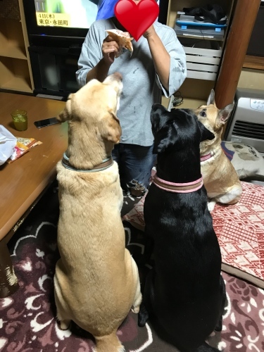 f0315081_20562278.jpeg