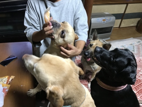 f0315081_20564905.jpeg