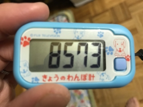 f0315081_21023851.jpeg