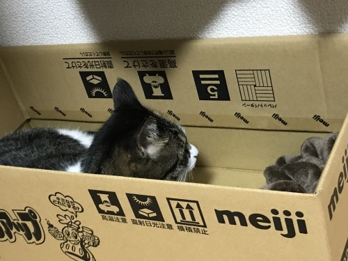 c0340786_16593833.jpeg