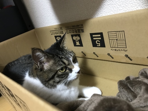 c0340786_17000803.jpeg